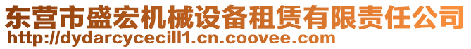 東營市盛宏機械設備租賃有限責任公司