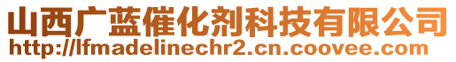 山西廣藍催化劑科技有限公司