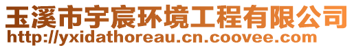 玉溪市宇宸環(huán)境工程有限公司