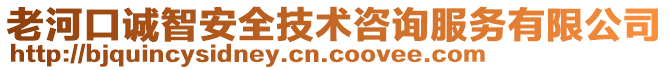 老河口誠智安全技術(shù)咨詢服務(wù)有限公司