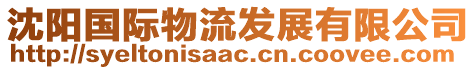 沈陽(yáng)國(guó)際物流發(fā)展有限公司