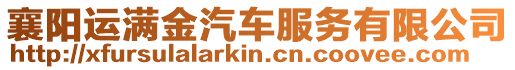 襄陽運滿金汽車服務有限公司