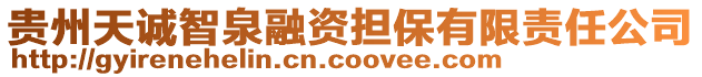 貴州天誠智泉融資擔保有限責任公司