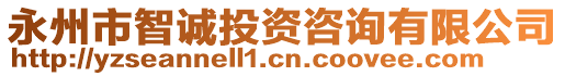永州市智誠投資咨詢有限公司