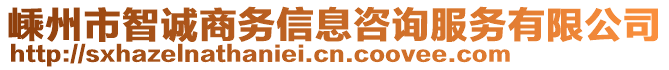 嵊州市智誠商務(wù)信息咨詢服務(wù)有限公司