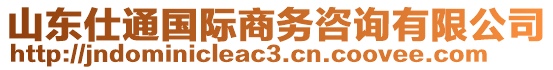 山東仕通國際商務咨詢有限公司