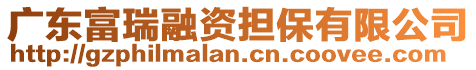 廣東富瑞融資擔(dān)保有限公司