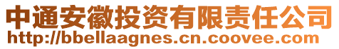 中通安徽投資有限責任公司