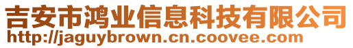 吉安市鴻業(yè)信息科技有限公司