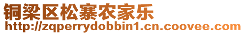 銅梁區松寨農家樂