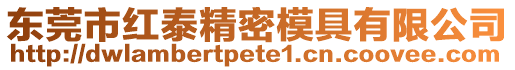 東莞市紅泰精密模具有限公司