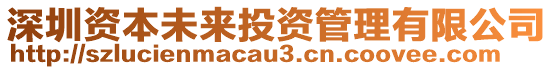 深圳資本未來(lái)投資管理有限公司