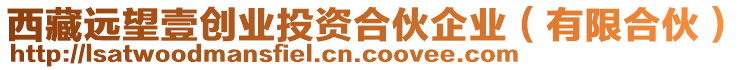 西藏遠(yuǎn)望壹創(chuàng)業(yè)投資合伙企業(yè)（有限合伙）