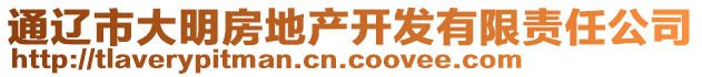 通遼市大明房地產(chǎn)開發(fā)有限責(zé)任公司