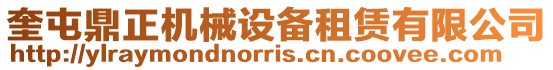 奎屯鼎正機械設備租賃有限公司