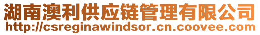 湖南澳利供應鏈管理有限公司