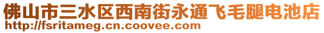 佛山市三水區(qū)西南街永通飛毛腿電池店