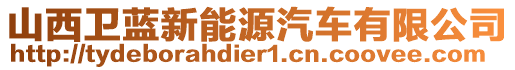 山西衛(wèi)藍(lán)新能源汽車有限公司