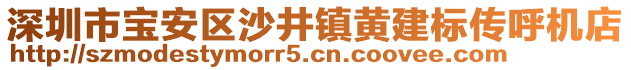 深圳市寶安區(qū)沙井鎮(zhèn)黃建標(biāo)傳呼機(jī)店