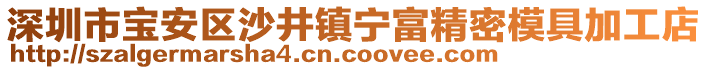 深圳市寶安區(qū)沙井鎮(zhèn)寧富精密模具加工店