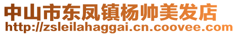 中山市東鳳鎮(zhèn)楊帥美發(fā)店