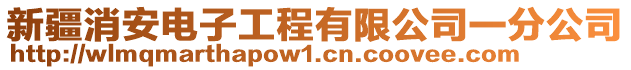 新疆消安電子工程有限公司一分公司