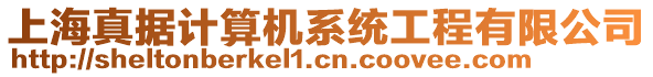 上海真據(jù)計(jì)算機(jī)系統(tǒng)工程有限公司