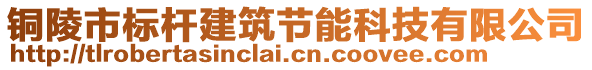 銅陵市標(biāo)桿建筑節(jié)能科技有限公司