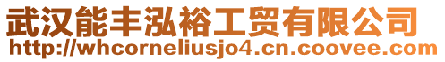 武漢能豐泓裕工貿(mào)有限公司