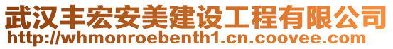 武漢豐宏安美建設(shè)工程有限公司