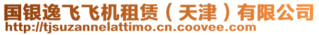 國銀逸飛飛機(jī)租賃（天津）有限公司