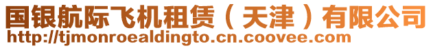 國(guó)銀航際飛機(jī)租賃（天津）有限公司