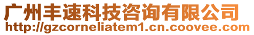 廣州豐速科技咨詢有限公司