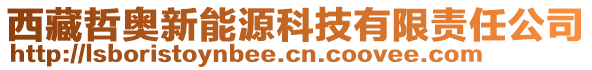 西藏哲奧新能源科技有限責(zé)任公司