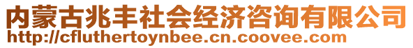 內(nèi)蒙古兆豐社會(huì)經(jīng)濟(jì)咨詢(xún)有限公司