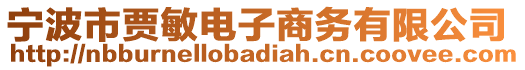 寧波市賈敏電子商務(wù)有限公司