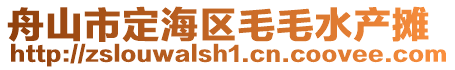 舟山市定海區毛毛水產攤