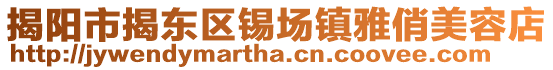 揭陽市揭東區(qū)錫場鎮(zhèn)雅俏美容店