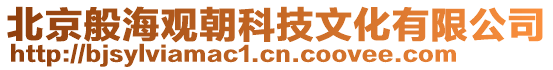 北京般海觀朝科技文化有限公司