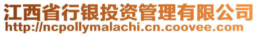 江西省行銀投資管理有限公司