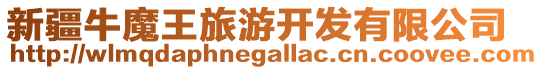 新疆牛魔王旅游開發有限公司