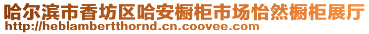 哈尔滨市香坊区哈安橱柜市场怡然橱柜展厅