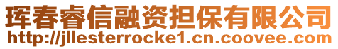 琿春睿信融資擔保有限公司