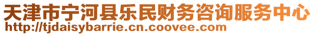 天津市寧河縣樂民財(cái)務(wù)咨詢服務(wù)中心