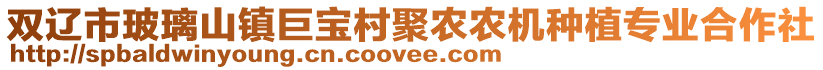 雙遼市玻璃山鎮(zhèn)巨寶村聚農(nóng)農(nóng)機(jī)種植專業(yè)合作社