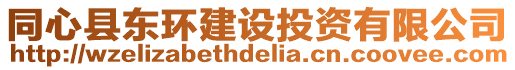 同心縣東環(huán)建設(shè)投資有限公司