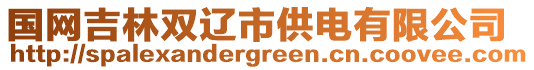 國網吉林雙遼市供電有限公司