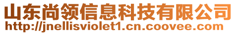 山東尚領(lǐng)信息科技有限公司