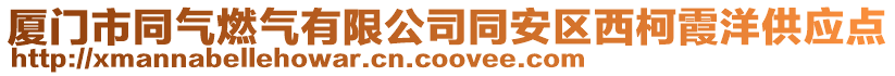 廈門市同氣燃?xì)庥邢薰就矃^(qū)西柯霞洋供應(yīng)點(diǎn)