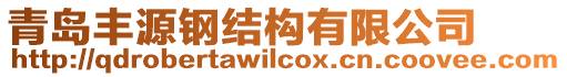 青島豐源鋼結(jié)構(gòu)有限公司